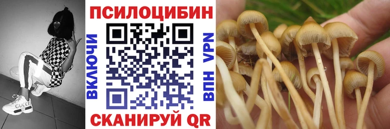 Галлюциногенные грибы мухоморы  Змеиногорск 